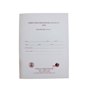 Fieldwork Diary